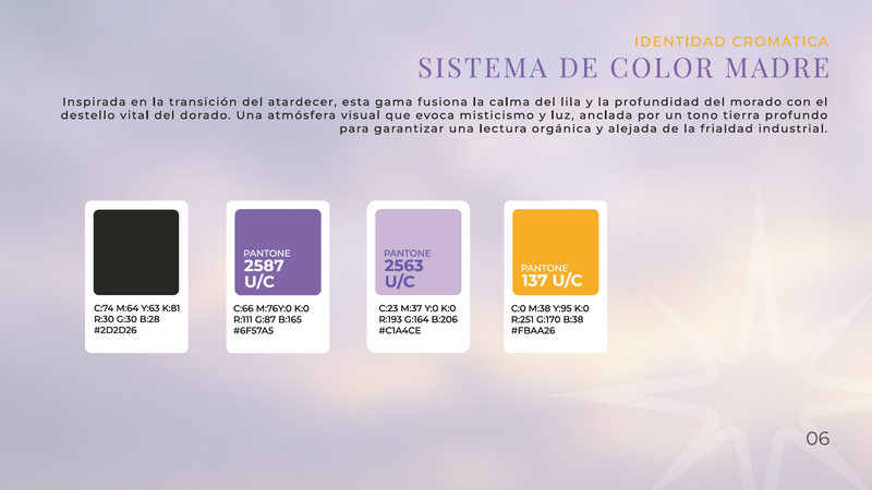 Plan integral brandbook técnico completo